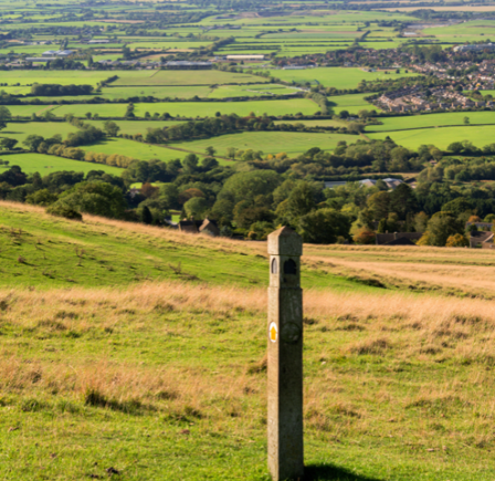 <strong>CLEEVE HILL COMMON&nbsp;</strong>