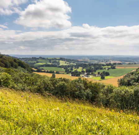 <strong>STINCHCOMBE HILL</strong>